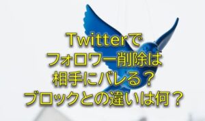 Twitterでフォロワー削除は相手にバレる？ブロックとの違いは何？