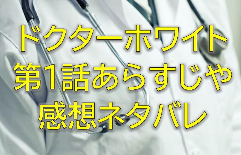 ドクターホワイト第1話感想やあらすじネタバレ 主人公は記憶喪失