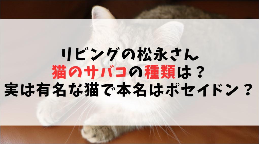 リビングの松永さん【猫】サバコの種類は？実は有名な猫で本名はポセイドン？